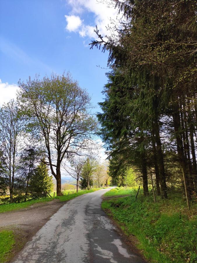 Zentrale Und Gemuetliche Ferienwohnung In Winterberg Nah An Der Natur Екстер'єр фото