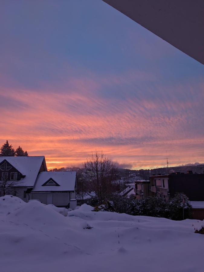 Zentrale Und Gemuetliche Ferienwohnung In Winterberg Nah An Der Natur Екстер'єр фото